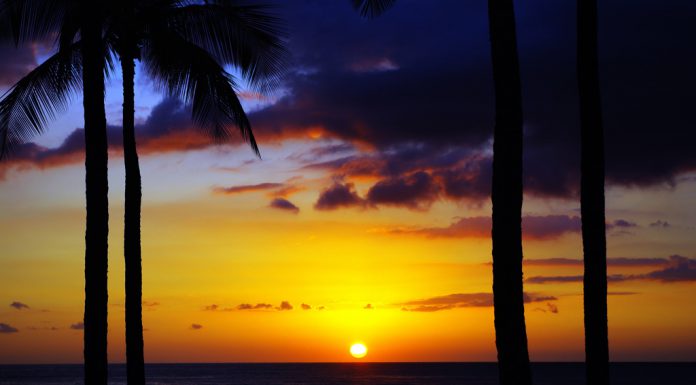 年末年始営業日のお知らせ(2018-2019)~アンチエイジングエステサロンPuluPuluAnge~