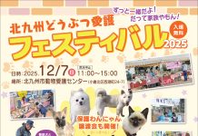 【北九州のイベント】北九州どうぶつ愛護フェスティバル(小倉北区)