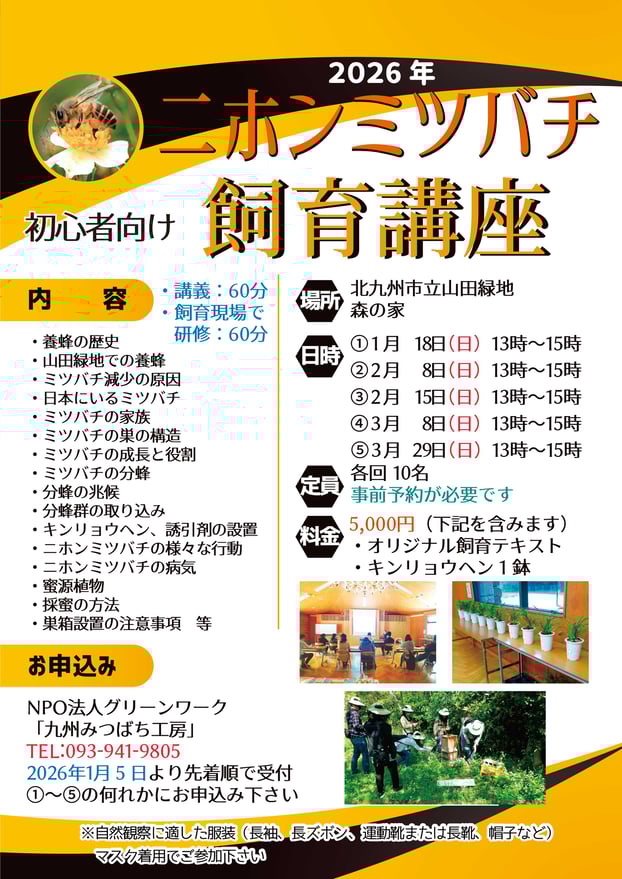 ニホンミツバチ飼育