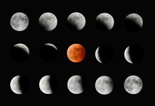 【北九州のイベント】(2/24申込締切)星の観望の夕べ「皆既月食を見よう」(八幡東区)